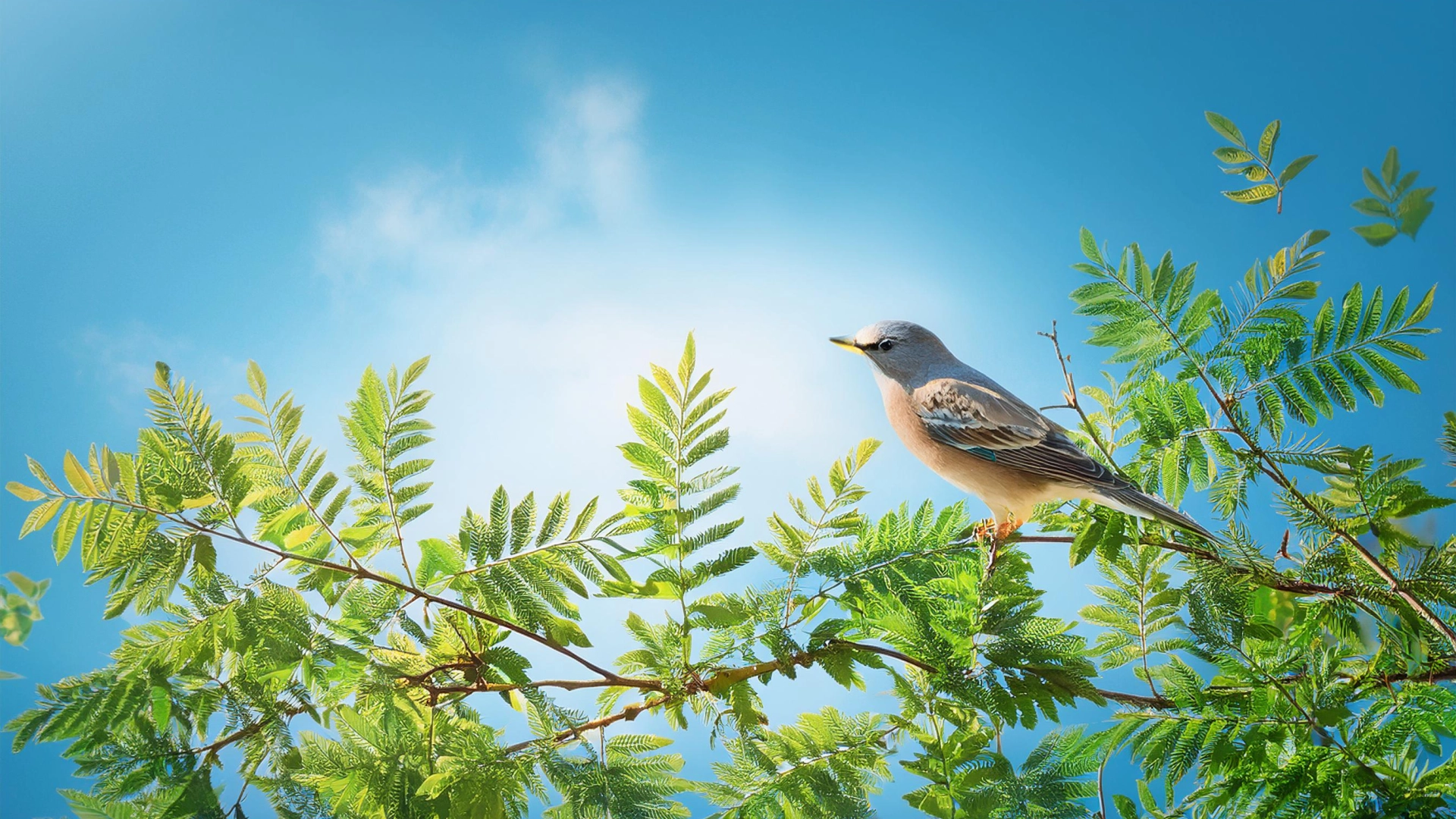 Утилис — ответственная утилизация отходов с заботой об окружающей среде